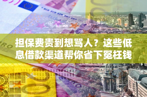 济南担保费贵到想骂人？这些低息借款渠道帮你省下冤枉钱