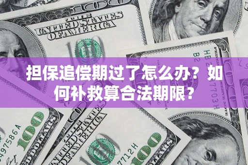 济南担保追偿期过了怎么办？如何补救算合法期限？