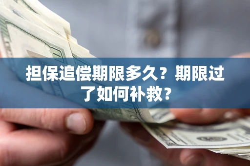 济南担保追偿期限多久？期限过了如何补救？